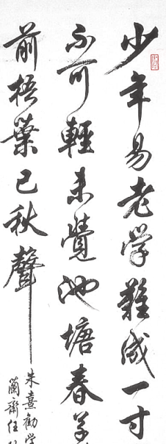 用户sXnw6JMN采集到字体
