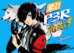 Echoooo17采集到副岛
