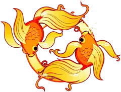 双鱼座占星术png免抠图片素材