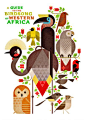This may contain: the cover of a guide to birdsong in western africa, with an image of different types