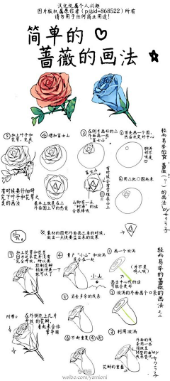 、不经意的在脑海中浮现你采集到画技