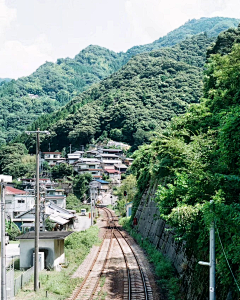 Diors-东采集到杂