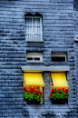 #庭院#  #摄影#
Assorted windows - love the blue tiles and yellow blinds