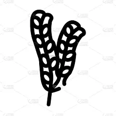 海带海带线图标矢量插图