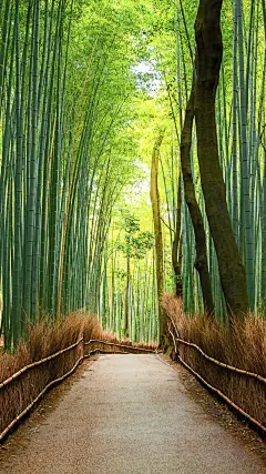 Win10锁屏风景高清WP手机壁纸高清图手机壁纸