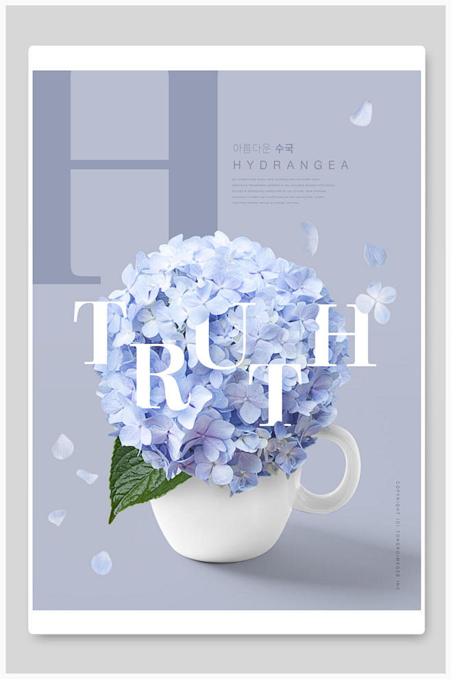 淡蓝色花卉创意节日海报设计