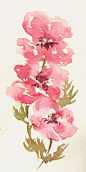 CARTE DE VOEUX “Flower power” #采集大赛#