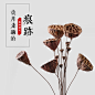 茶具/茶饮/陶瓷/茶/喝茶/直通车
