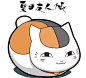 猫咪老师的 搜索结果_360图片