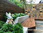 小空间里的大花园-上海苑筑景观设计有限公司