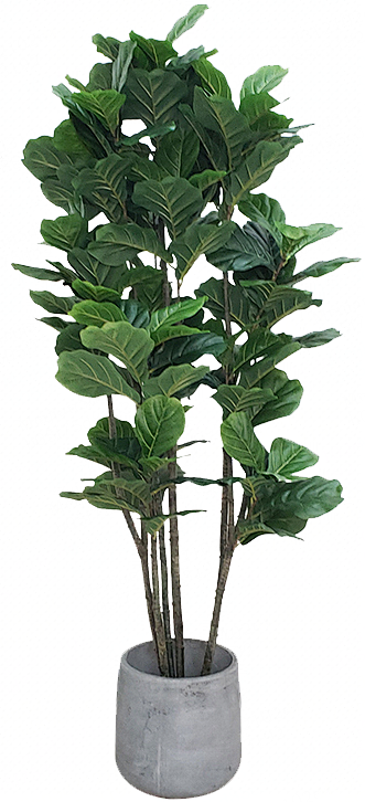 北欧客厅仿真绿植盆栽大型仿真植物琴叶榕盆...