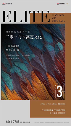 创意心叮采集到画册版式