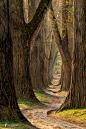 Swing into Spring by Lars van de Goor on 500px