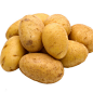 密园小农 新鲜土豆 500g  马铃薯  新鲜蔬菜 密云本地种植