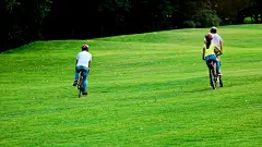 三个年轻的朋友在公园骑自行车。