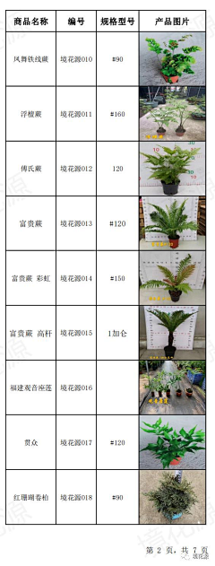 twinkle_star采集到ZW专类花卉—蕨类植物+苔藓植物