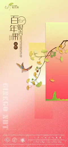 百年银杏果海报-源文件-采灵感-cailinggan.com