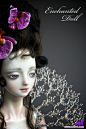 被施了魔法的人偶Enchanted Doll ------Marina Bychkova（价值4万美金的娃娃）