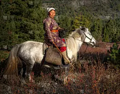 蒙古人,马,女人,职业赛马骑师,鞍,水平画幅,美人,性格,户外,仅成年人