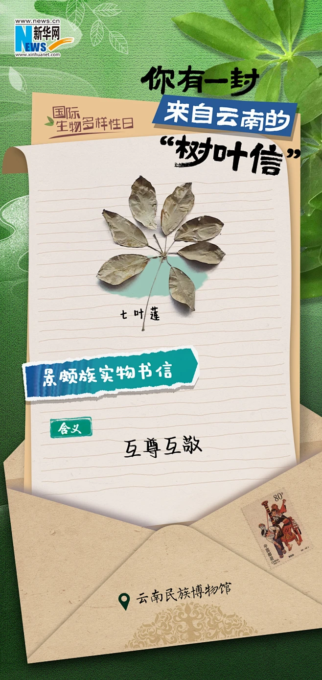 国际生物多样性日｜你有一封来自云南的“树叶信”_新华网-花瓣网