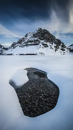 ＠大圣中的战斗菊#唯美#壁纸#手机壁纸#电脑壁纸#风景#雪山