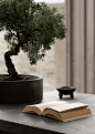ZEN｜阅心