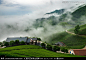 高山茶园