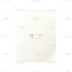 白皮书文档模板向量