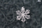 #北京天象记录# 北京今天的雪花摄影。真没想到突如其来的大雪下了2天！还都下在城区，真是爽到了！北京结界破啦 ​​​​