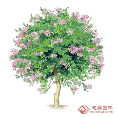 ann97采集到参考