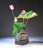 台湾王国忠老师的插花作品