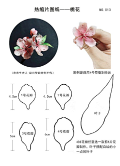 啊＊哈采集到热缩片