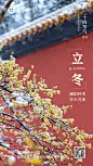 立冬节气全屏实景特写祝福海报