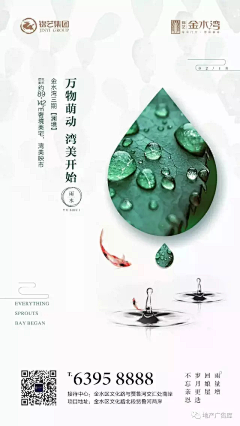 小白杨yll采集到节气