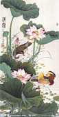 Botanical illustration with two ducks, Chinese: 