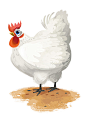 Chickens!公鸡母鸡动物插画---酷图编号1122816