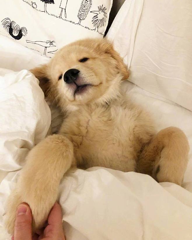 Good night ​​​​