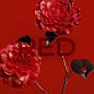 COLOURS OF CHANEL
Red is passion. Red has always been on the spectrum of CHANEL’s colours. Gabrielle Chanel always wore red lipstick. It was her signature look. Her favorite was a custom made vivid and pure vermilion that later became “le ROUGE CHANEL”.

