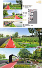 骑行漫步生态绿道景观设计文本城市道路规划公园景观提升文本案例-淘宝网