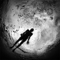Hengki Koentjoro：黑白水下摄影作品 - 新摄影
