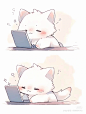 猫猫系列