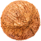 椰果