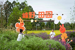 花田半亩TRACY采集到新项目