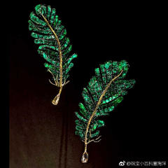 清清Clear采集到赵心绮