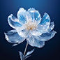 wendyxuan_86146_Peony_glass_texture_white_transparent_blue_back_6a3c4309-3b93-417f-a963-f4fe0fed73ec (2)