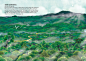 animal children's book forest ILLUSTRATION  jungle natural Picture book picturebook Tree  vietnam