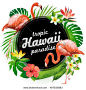 Hawaii tropic paradise. Vector illustration of tropical birds, flowers, leaves.