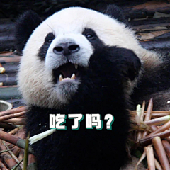 GKELE采集到熊先生