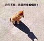 一位韩国父亲带18岁的女儿去夜店喝酒，使劲灌，直到女儿醉倒，第二天女儿起床后看到床头有一杯蜂蜜水和一张纸条：你昨天喝了半斤低度清酒，5瓶啤酒，记得这是你的极限，爸爸不能照顾你一辈子，以后自己要有分寸。这个事情网友各种点赞。
 哈尔滨有一位父亲想效仿一下，带着女儿去喝酒，于是从火锅到串吧，从KTV到酒吧，父亲喝吐了四次趴在了桌上……
女儿：干哈呢干哈呢？能不能喝啊？养鱼哪？