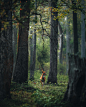 Photo by Luke Stackpoole on August 29, 2024. May be an image of deer, nature and text.
